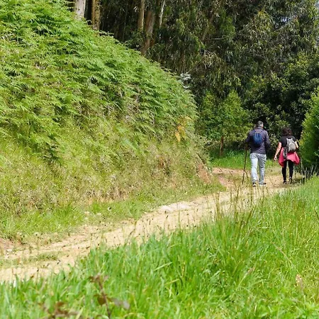 Casa de Férias Casa Surfera, Sublime -arquitectura Sostenible *